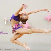 школа художественной гимнастики ирины кондраковой изображение 5 на проекте brateevo.su