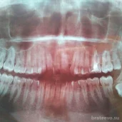 стоматологическая клиника элика дент изображение 5 на проекте brateevo.su