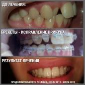 стоматологическая клиника элика дент изображение 3 на проекте brateevo.su